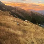 Views On Florence