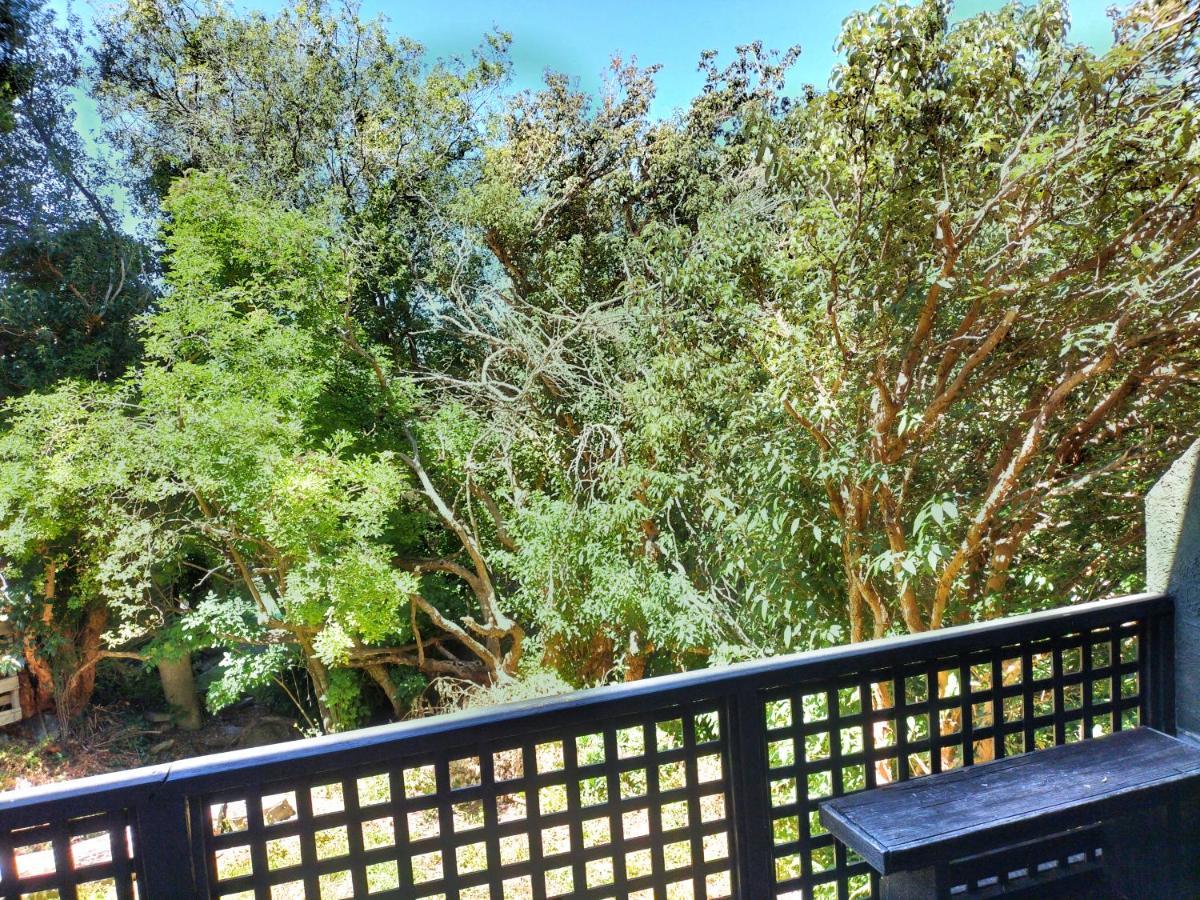 Holiday home Trees & Birdsong