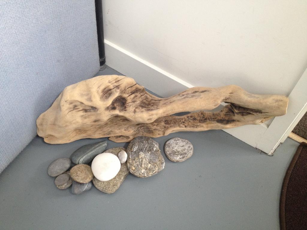 Driftwood Studio Apartment