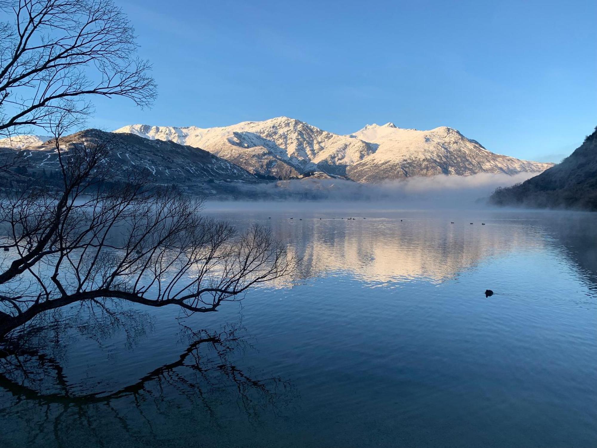 Tussock