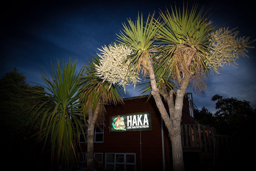 Hostel Haka House