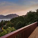 The Lookout