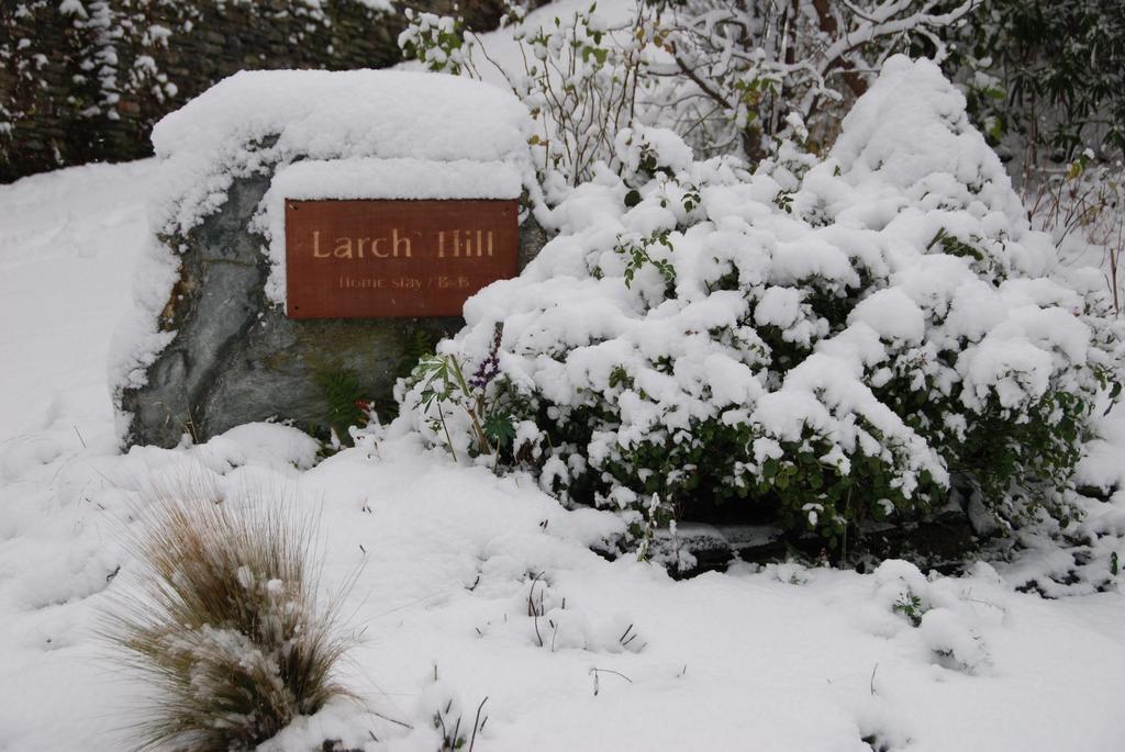 Larch Hill Queenstown