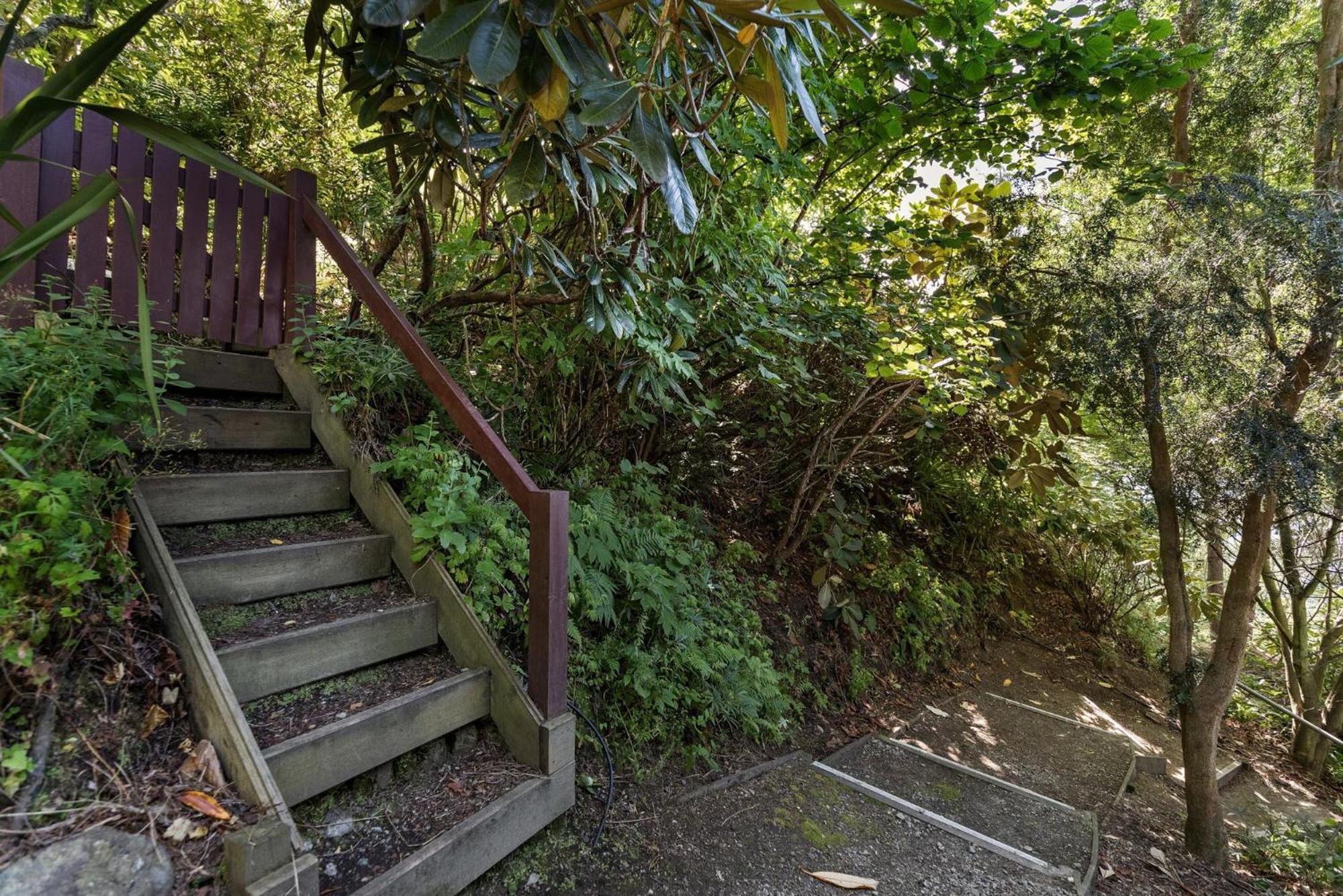 The Lookout
