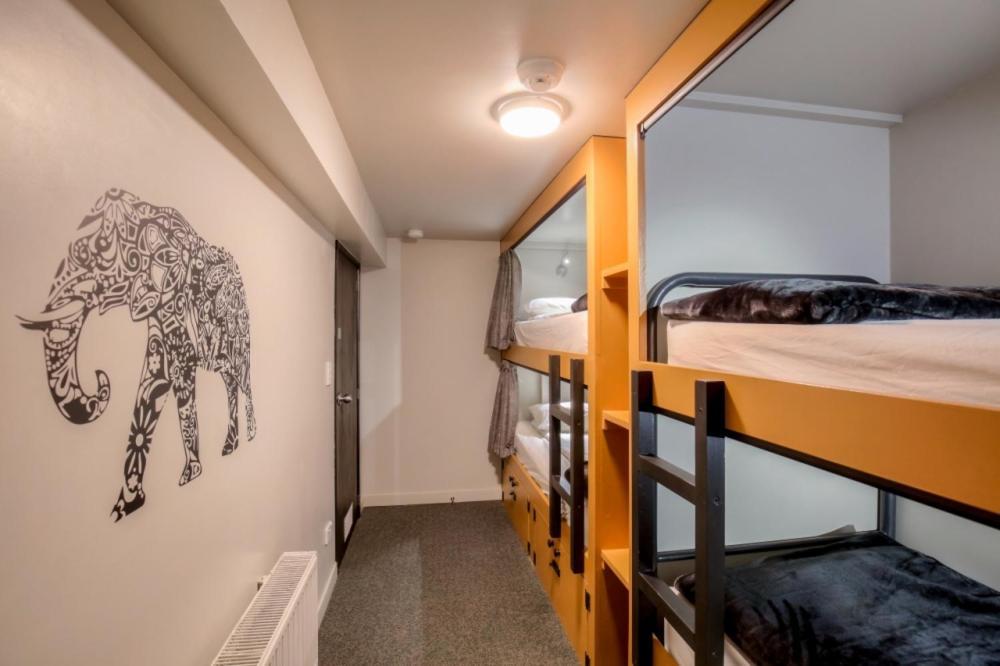 The Black Sheep Backpackers Hostel *