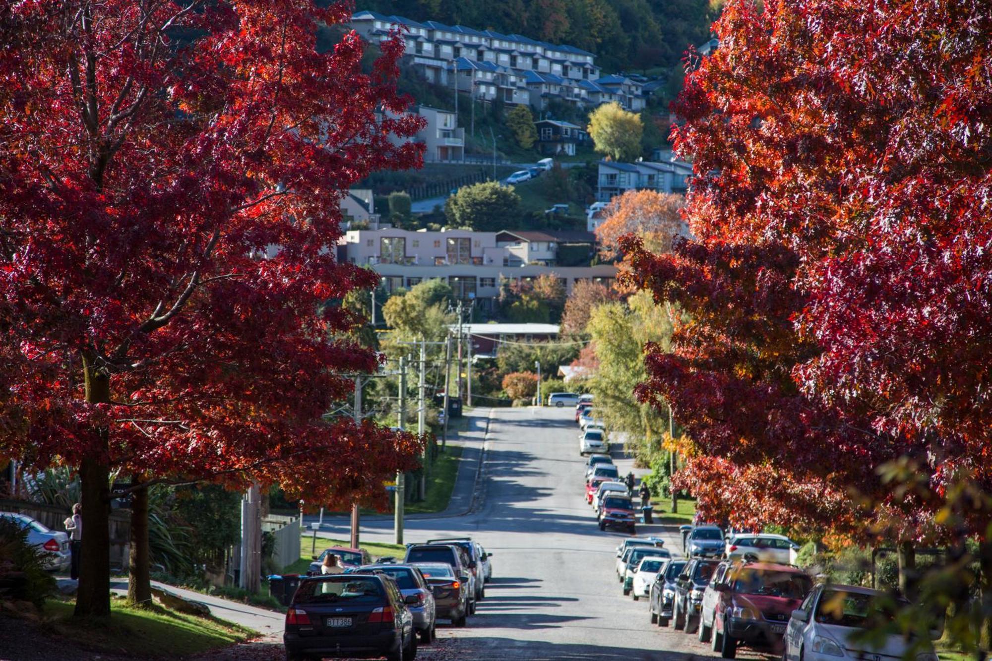 Pinewood Queenstown