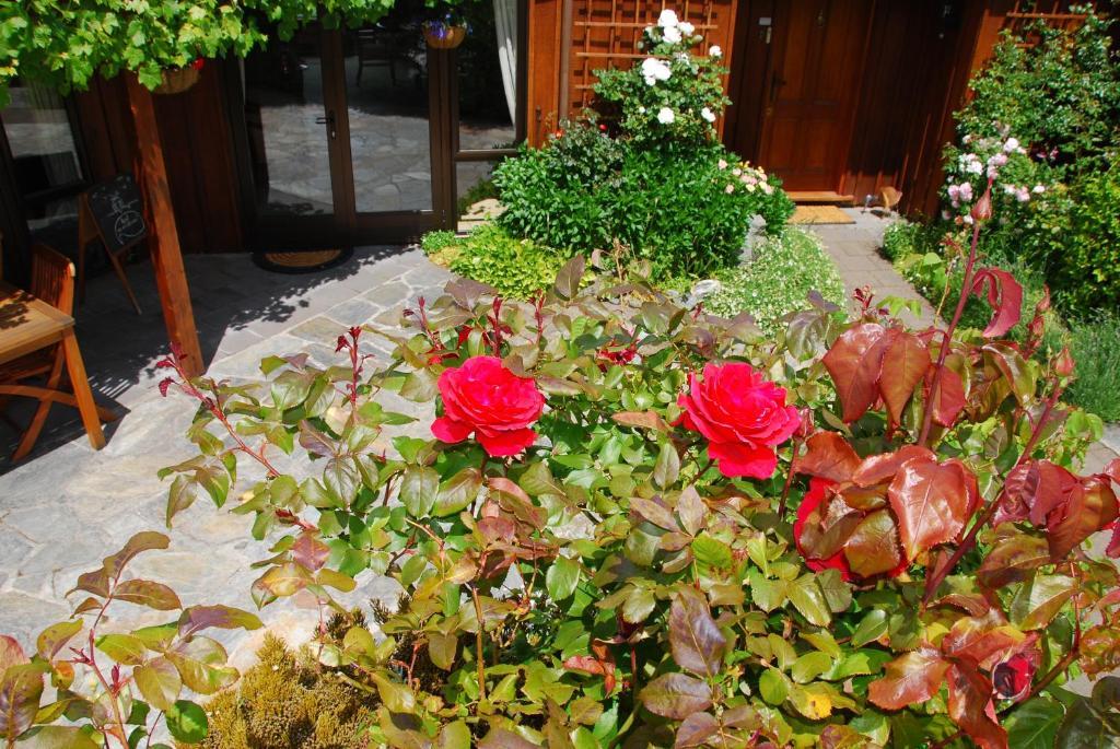 Larch Hill Bed & Breakfast Queenstown