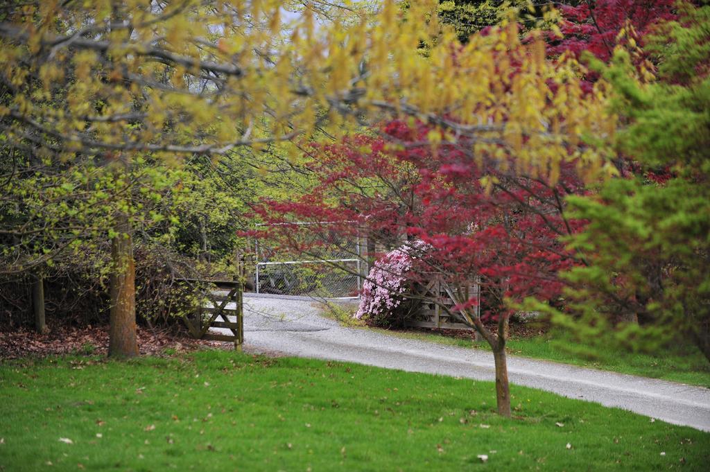 Farm stay Hd Mountain