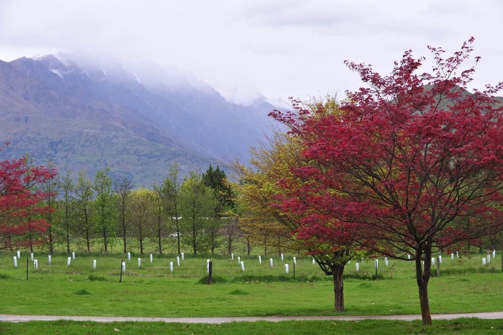 Farm stay Hd Mountain Queenstown