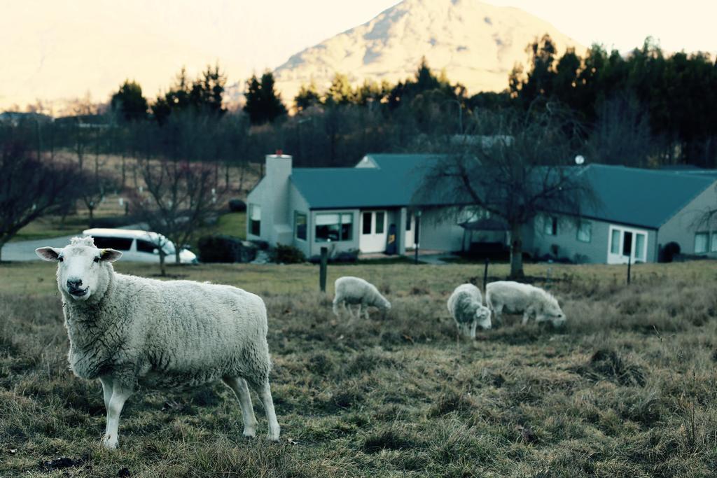 Farm stay Hd Mountain *