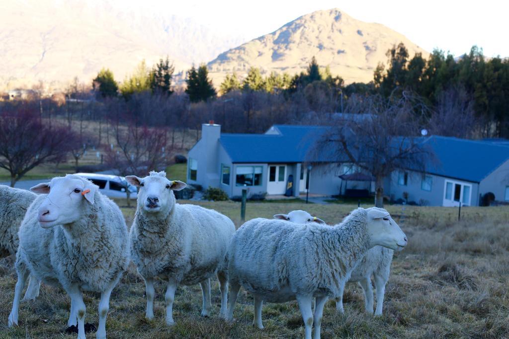Hd Mountain Farm stay Queenstown