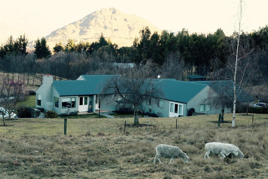 Hd Mountain * Queenstown
