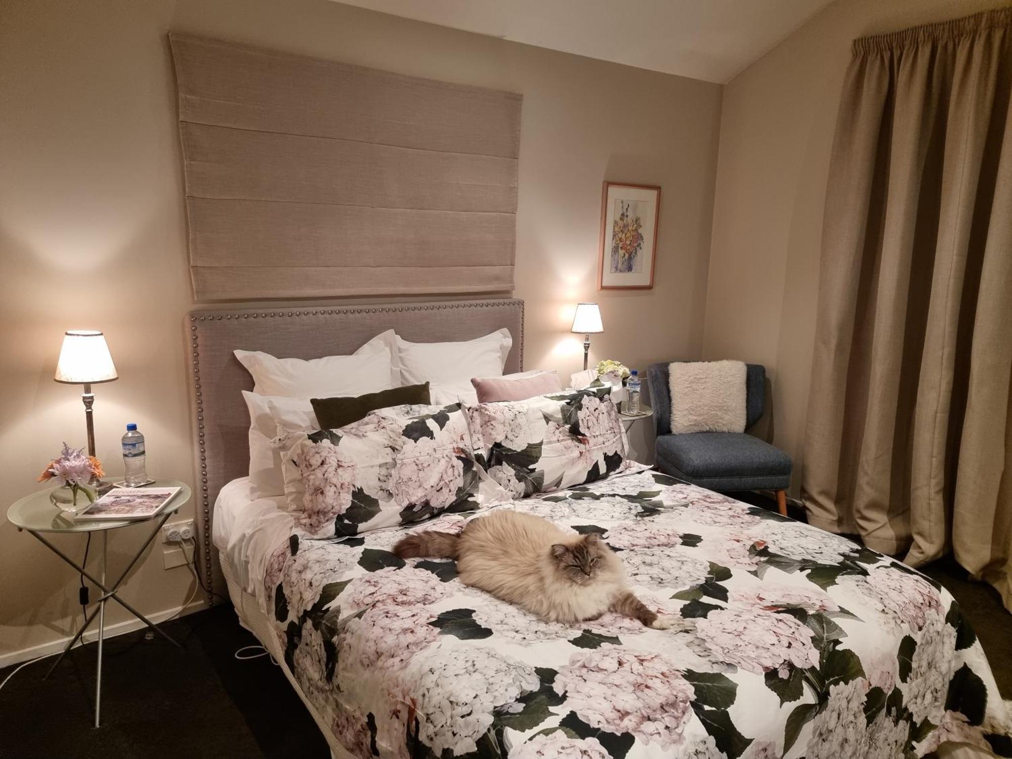 Haven Sanctuary With Private Entrance *